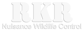 RKR Nuisance Wildlife Control
